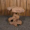  Product image 11 of the product “Table with abstract legs made of teak wood about 35cm height ”